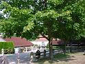 Weltenbummler Oberbayern 012